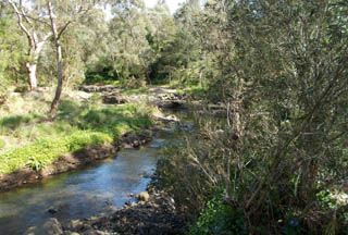 Trail Walking in Darebin