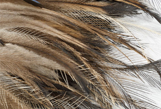 Teena Moffat: Artist Talk and Armband Workshop