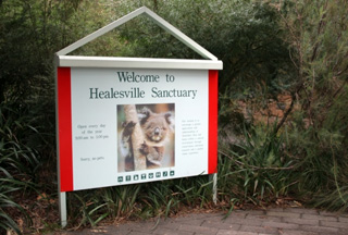 Healesville Sanctuary Day Out - Mullum Mullum