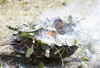 Reconciliation Week Launch & Exhibition - Glen Eira